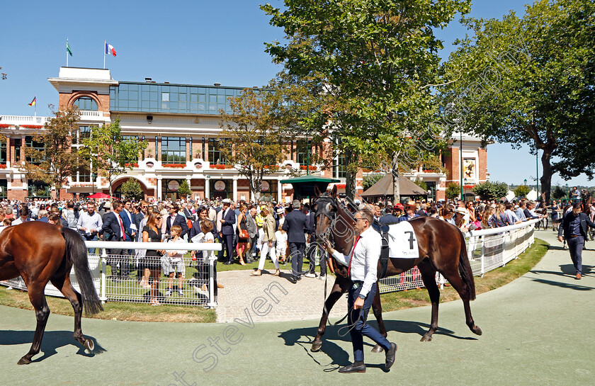 Artorius-0007 
 ARTORIUS
Deauville 7 Aug 2022 - Pic Steven Cargill / Racingfotos.com