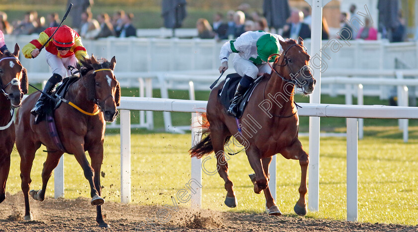 Pfingstberg-0003 
 PFINGSTBERG (Callum Shepherd) wins The Betfair Racing Podcasts Handicap
Chelmsford 3 Oct 2024 - Pic Steven Cargill / Racingfotos.com