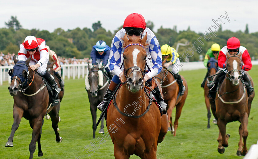 Designer-0005 
 DESIGNER (David Egan) wins The Celebrate ITM's 200th Ire Voucher Winner Handicap
York 17 Aug 2022 - Pic Steven Cargill / Racingfotos.com