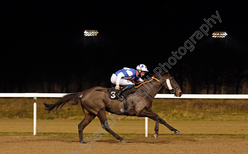 Bayston-Hill-0005 
 BAYSTON HILL (Daniel Muscutt) wins The tote.co.uk Now Never Beaten By SP Handicap Div1
Chelmsford 27 Nov 2020 - Pic Steven Cargill / Racingfotos.com