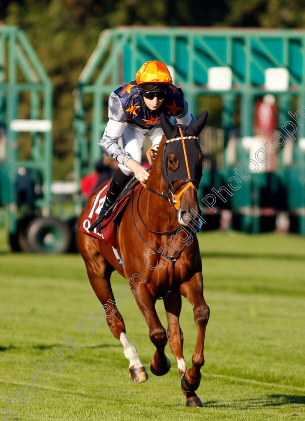 Rouge-Sellier-0001 
 ROUGE SELLIER (Luke Morris)
Longchamp 5 Oct 2034 - Pic Steven Cargill / Racingfotos.com