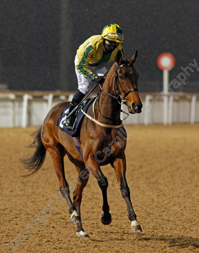 Baileys-Warrior-0001 
 BAILEYS WARRIOR (P J McDonald)
Wolverhampton 4 Jan 2021 - Pic Steven Cargill / Racingfotos.com