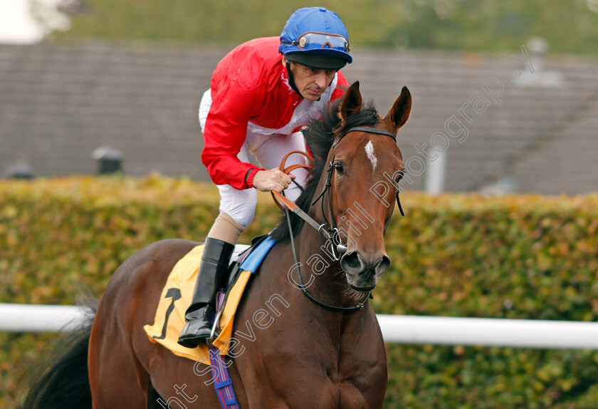 Homeopathic-0002 
 HOMEOPATHIC (Ted Durcan) winner of The Matchbook British Stallion Studs EBF Fillies Novice Stakes Div2 Kempton 25 Sep 2017 - Pic Steven Cargill / Racingfotos.com