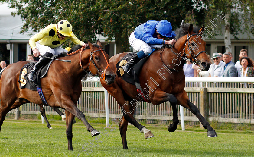 Hafit-0003 
 HAFIT (William Buick) beats RAZZLE DAZZLE (left) in The Rich Club With Rich Energy British EBF Newcomers Maiden Stakes
Newmarket 6 Aug 2021 - Pic Steven Cargill / Racingfotos.com