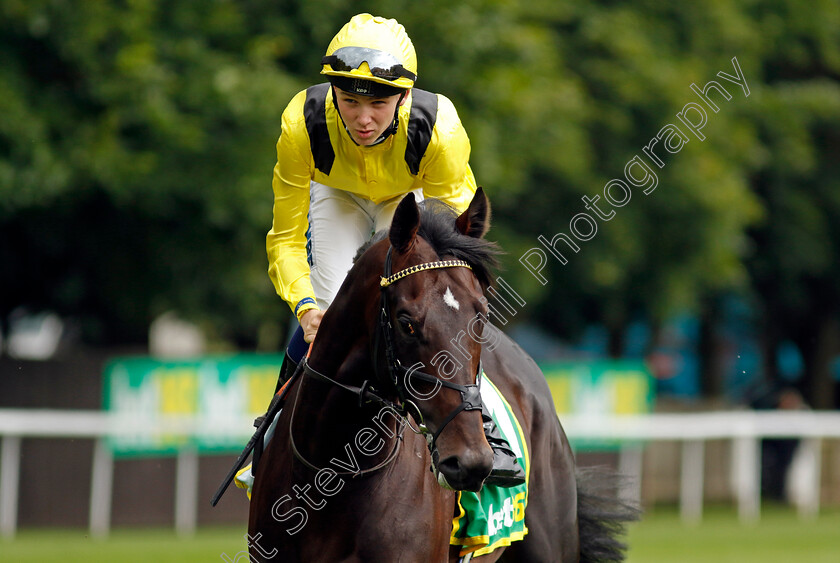 Daarkom-0001 
 DAARKOM (Billy Loughnane)
Newmarket 13 Jul 2024 - Pic Steven Cargill / Racingfotos.com