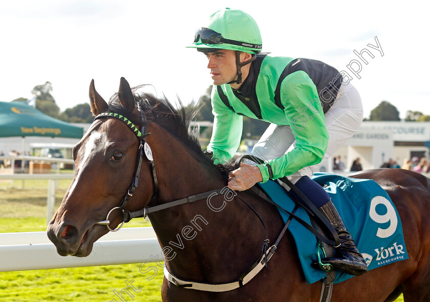 Sir-Yoshi-0001 
 SIR YOSHI (Luke McAteer)
York 24 Aug 2024 - Pic Steven Cargill / Racingfotos.com