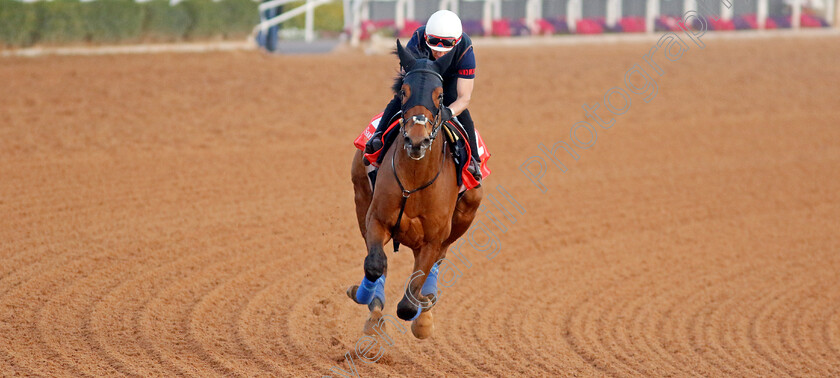 Trawlerman-0004 
 TRAWLERMAN training for The Red Sea Turf Handicap
King Abdulaziz Racecourse, Kingdom of Saudi Arabia, 22 Feb 2023 - Pic Steven Cargill / Racingfotos.com