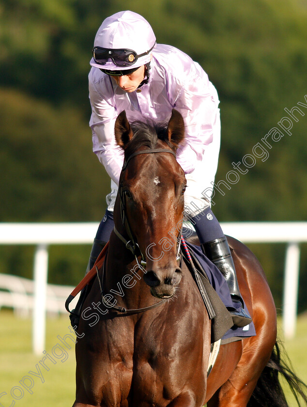 Fleeting-Prince-0002 
 FLEETING PRINCE (Kieran Shoemark)
Chepstow 2 Jul 2019 - Pic Steven Cargill / Racingfotos.com