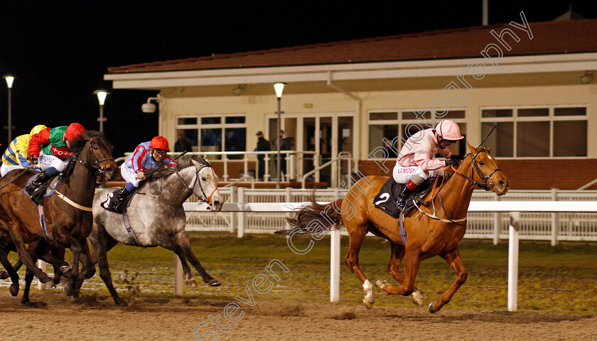 Fred-0001 
 FRED (Franny Norton) wins The tote.co.uk Live Streaming Every UK Race Handicap
Chelmsford 18 Feb 2021 - Pic Steven Cargill / Racingfotos.com