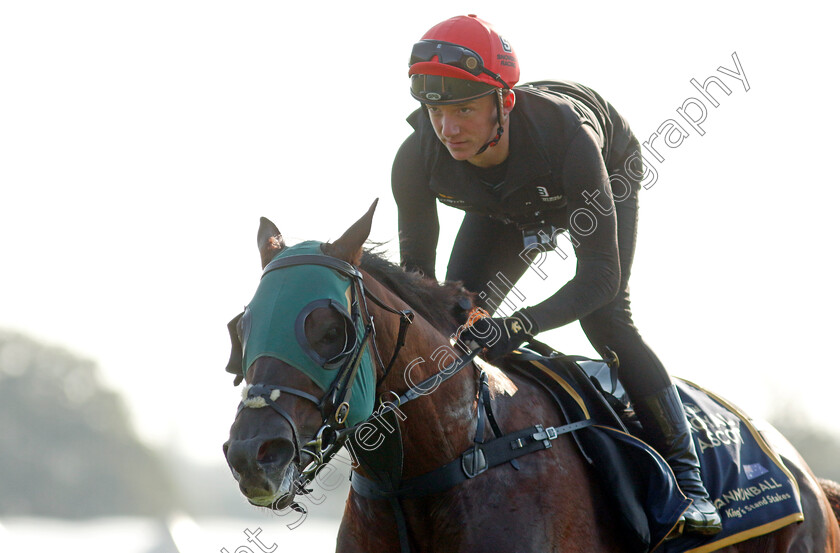 Cannonball-0018 
 CANNONBALL preparing for Royal Ascot
Ascot 14 Jun 2023 - Pic Steven Cargill / Racingfotos.com