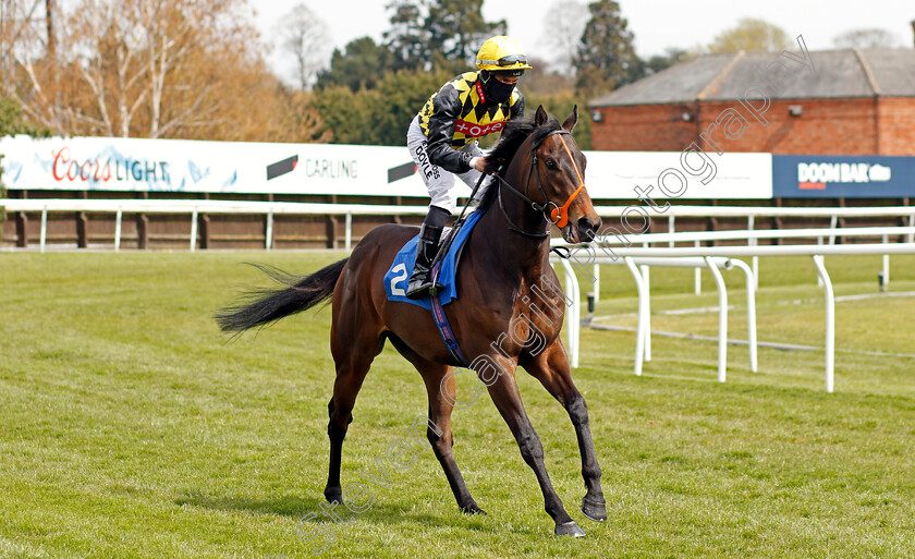 Night-Arc-0001 
 NIGHT ARC (Sean Levey)
Leicester 24 Apr 2021 - Pic Steven Cargill / Racingfotos.com