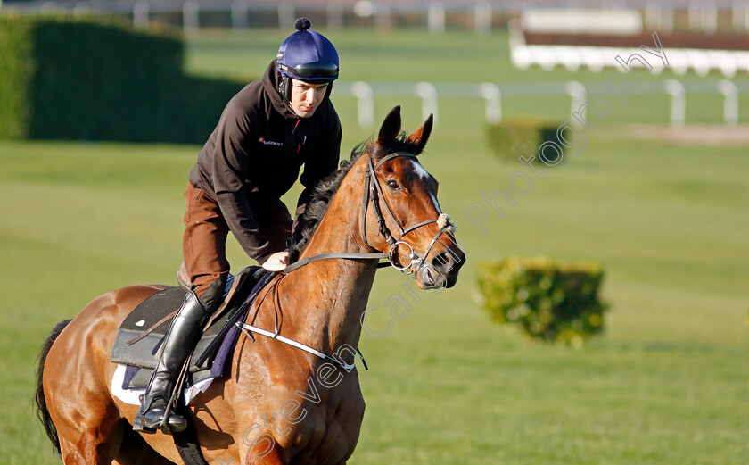 Put-The-Kettle-On-0002 
 PUT THE KETTLE ON exercising on the eve of the Cheltenham Festival
Cheltenham 14 Mar 2022 - Pic Steven Cargill / Racingfotos.com