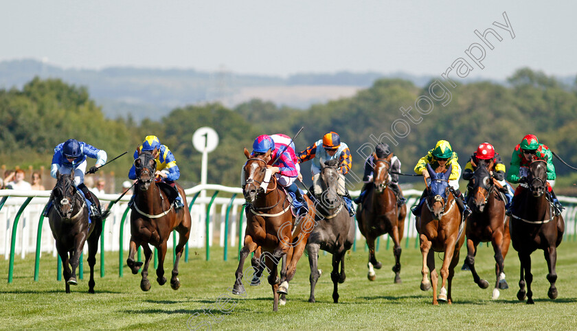 Sly-Madam-0001 
 SLY MADAM (William Carver) wins The M J Church Handicap
Salisbury 11 Aug 2022 - Pic Steven Cargill / Racingfotos.com