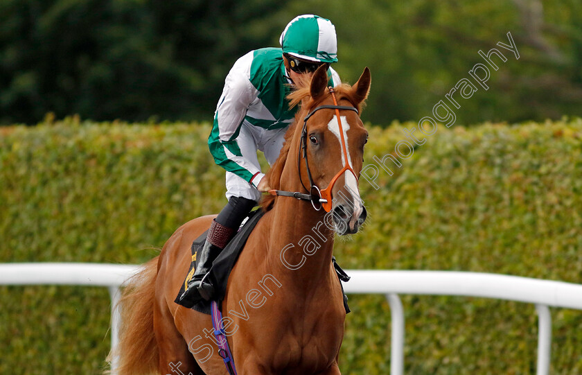 Cristo-0001 
 CRISTO (Alec Voikhansky)
Kempton 7 Aug 2024 - Pic Steven Cargill / Racingfotos.com