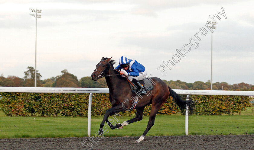 Mushahadaat-0004 
 MUSHAHADAAT (Dane O'Neill) wins The 32Red.com British Stalliuon Studs EBF Maiden Fillies Stakes Div1 Kempton 4 Oct 2017 - Pic Steven Cargill / Racingfotos.com