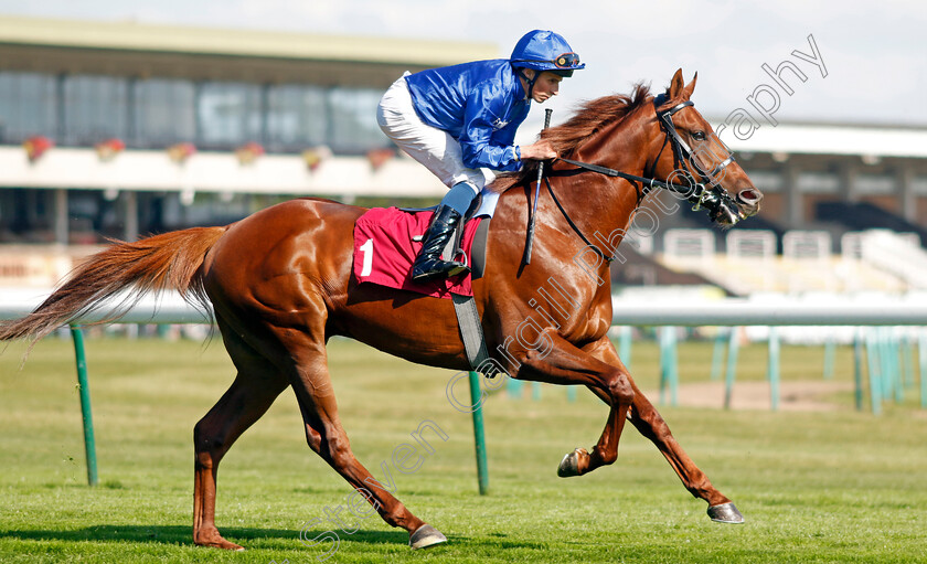 Castle-Way-0007 
 CASTLE WAY (William Buick) winner of The Together Commercial Finance EBF Novice Stakes
Haydock 1 Sep 2022 - Pic Steven Cargill / Racingfotos.com