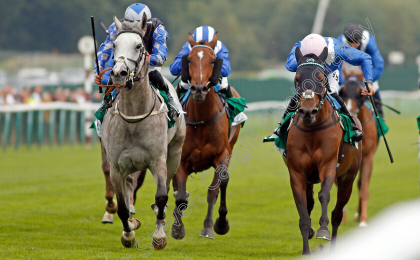 Bayan-Athbah-0001 
 BAYAN ATHBAH (left, Tom Marquand) beats ALGHANNY (right) in The HH Sheikha Fatima Bint Mubarak Cup (group 3 for purebred arabians)
Haydock 4 Sep 2021 - Pic Steven Cargill / Racingfotos.com