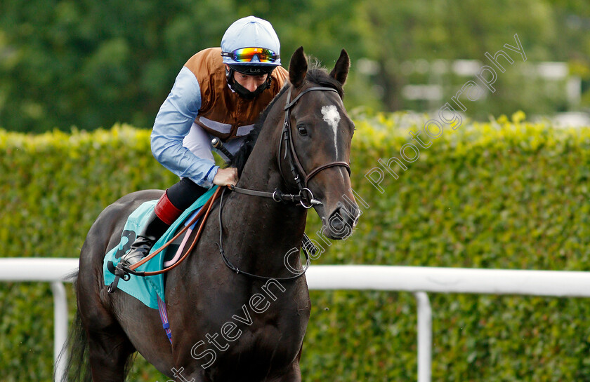 St-George s-Bay-0002 
 ST GEORGE'S BAY (Edward Greatrex)
Kempton 2 Jun 2021 - Pic Steven Cargill / Racingfotos.com