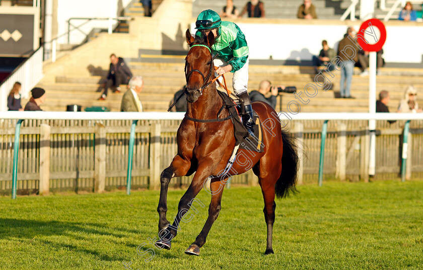 Balticum-0001 
 BALTICUM (Ryan Moore)
Newmarket 23 Oct 2024 - Pic Steven Cargill / Racingfotos.com