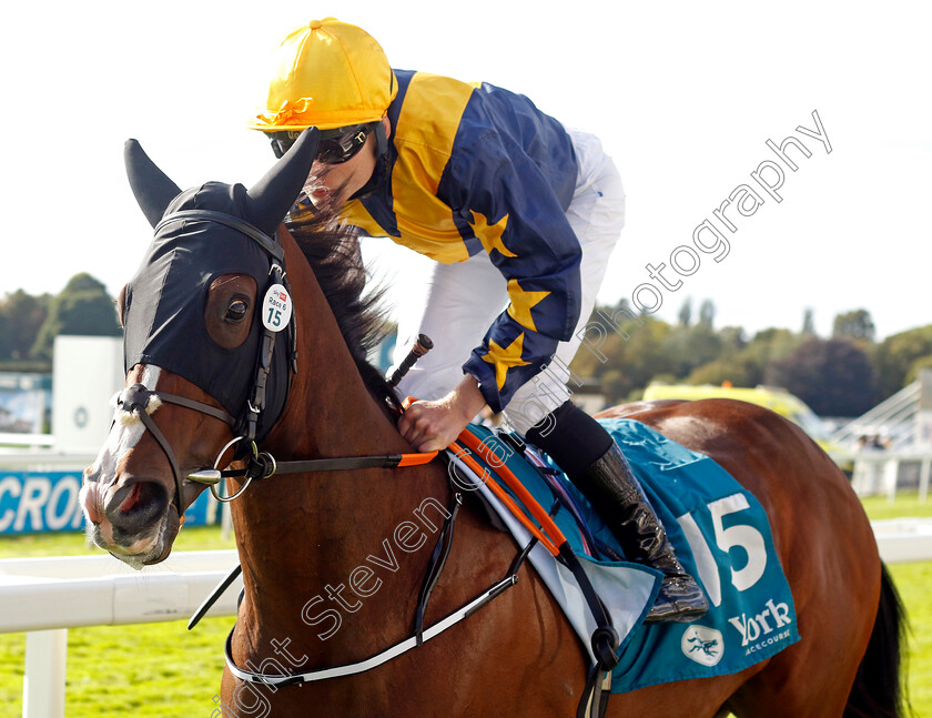 Make-Haste-0001 
 MAKE HASTE (Gavin Ryan)
York 24 Aug 2024 - Pic Steven Cargill / Racingfotos.com