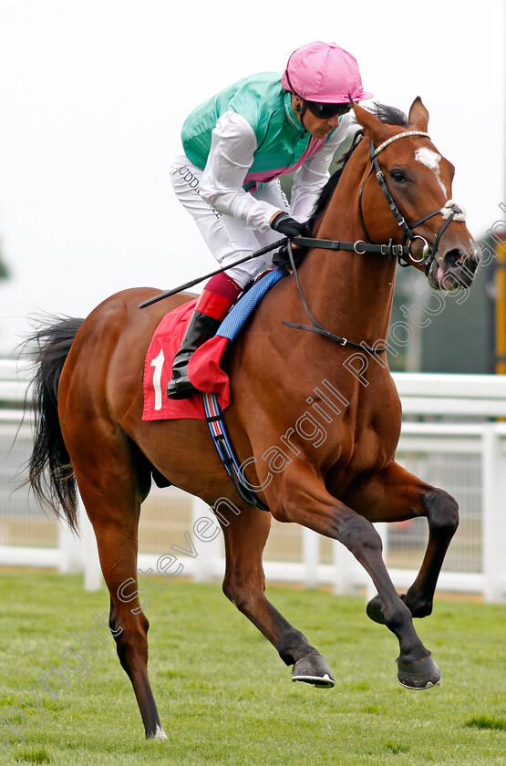 Arrest-0002 
 ARREST (Frankie Dettori)
Sandown 21 Jul 2022 - Pic Steven Cargill / Racingfotos.com