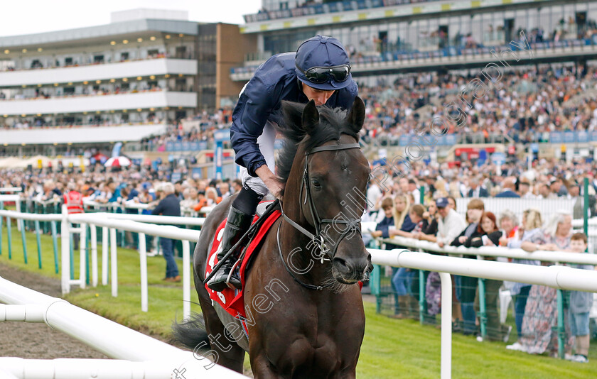 Mountain-Bear-0001 
 MOUNTAIN BEAR (Ryan Moore)
Doncaster 16 Sep 2023 - Pic Steven Cargill / Racingfotos.com