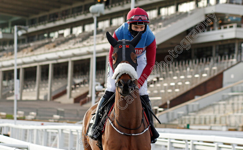 The-Butcher-Said-0001 
 THE BUTCHER SAID (Adrian Heskin)
Cheltenham 15 Nov 2020 - Pic Steven Cargill / Racingfotos.com