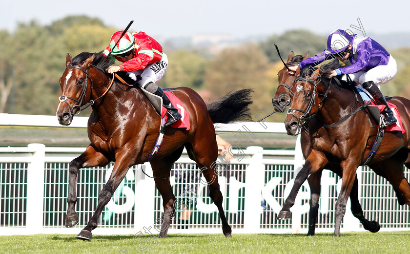 Flying-Dragon-0009 
 FLYING DRAGON (Tom Marquand) beats DAMON RUNYON (right) in The Smarkets EBF Novice Stakes
Sandown 19 Sep 2018 - Pic Steven Cargill / Racingfotos.com