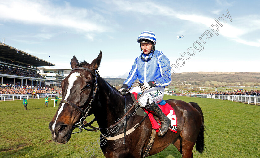 Penhill-0008 
 PENHILL (Paul Townend) after The Sun Bets Stayers Hurdle Cheltenham 15 Mar 2018 - Pic Steven Cargill / Racingfotos.com