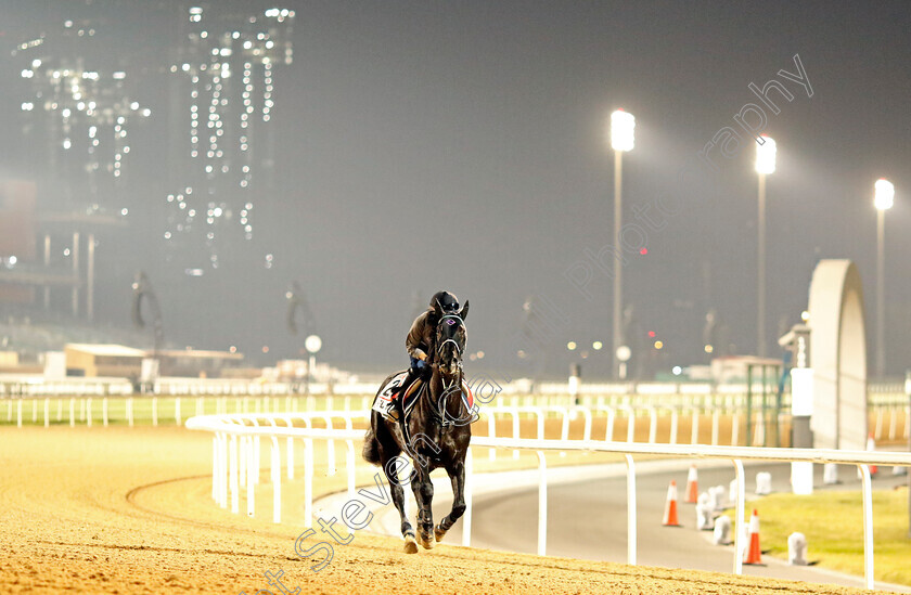 Vela-Azul-0002 
 VELA AZUL training for the Dubai World Cup
Meydan, Dubai, 21 Mar 2023 - Pic Steven Cargill / Racingfotos.com