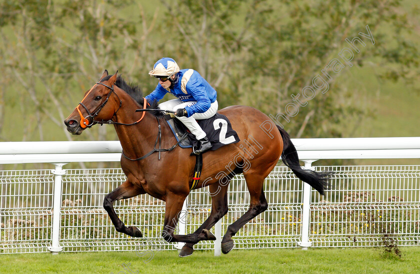 Sir-Titan-0003 
 SIR TITAN (Cieren Fallon) wins The Ladbrokes Best Odds Guaranteed Handicap
Goodwood 28 Aug 2020 - Pic Steven Cargill / Racingfotos.com