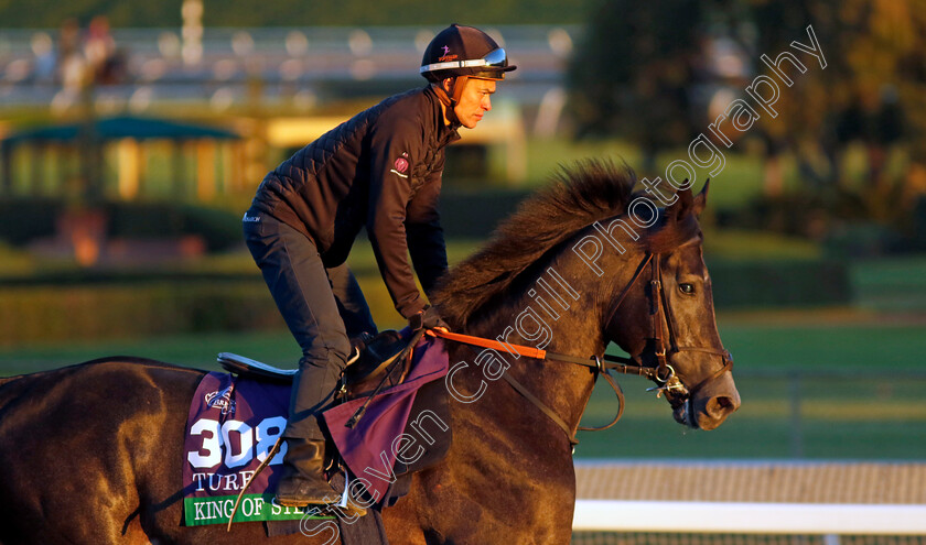 King-Of-Steel-0003 
 KING OF STEEL training for The Breeders' Cup Turf
Santa Anita 2 Nov 2023 - Pic Steven Cargill / Racingfotos.com