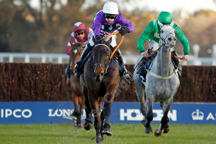 Rare-Edition-0004 
 RARE EDITION (David Bass)
Ascot 22 Nov 2024 - Pic Steven Cargill / Racingfotos.com