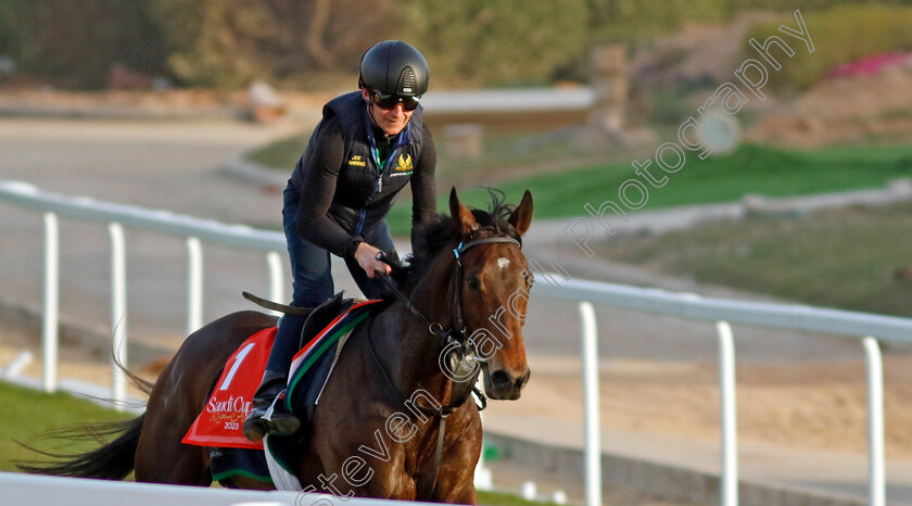 Subjectivist-0004 
 SUBJECTIVIST (Joe Fanning) training for The Red Sea Turf Handicap
King Abdulaziz Racecourse, Kingdom of Saudi Arabia, 22 Feb 2023 - Pic Steven Cargill / Racingfotos.com