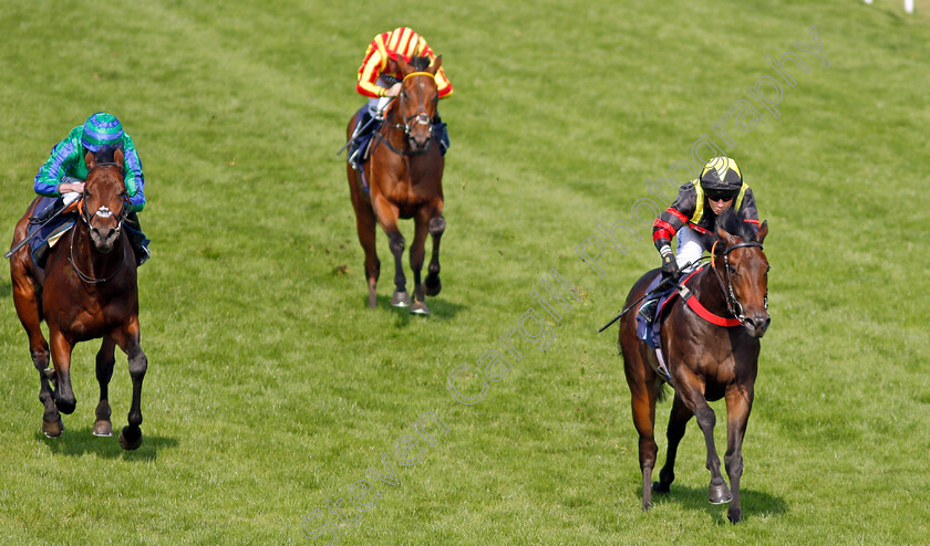 Global-Wisdom-0003 
 GLOBAL WISDOM (Silvestre De Sousa) wins The Free Tips On attheraces.com Nursery
Yarmouth 16 Sep 2021 - Pic Steven Cargill / Racingfotos.com