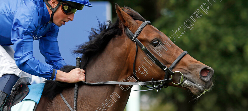 Ancient-Truth-0002 
 ANCIENT TRUTH (William Buick) wins The bet365 Superlative Stakes
Newmarket 13 Jul 2024 - Pic Steven Cargill / Racingfotos.com