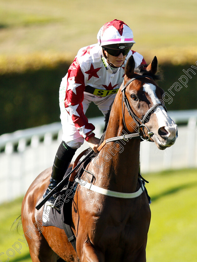 Enigmatic-0002 
 ENIGMATIC (Josephine Gordon) before winning The Maltsmiths Optional Claiming Handicap
Goodwood 26 Sep 2018 - Pic Steven Cargill / Racingfotos.com