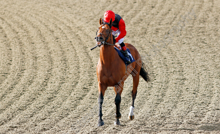 Brenner-Pass-0001 
 BRENNER PASS (Shane Kelly)
Lingfield 5 Aug 2020 - Pic Steven Cargill / Racingfotos.com