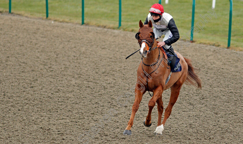 Caribeno-0002 
 CARIBENO (Luke Morris) winner of The Betway Handicap
Lingfield 10 Mar 2021 - Pic Steven Cargill / Racingfotos.com