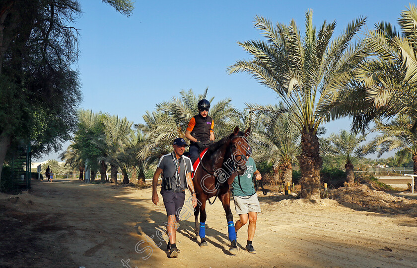 Lead-Artist-0003 
 LEAD ARTIST training for the Bahrain International Trophy
Kingdom of Bahrain 13 Nov 2024 - Pic Steven Cargill / Racingfotos.com