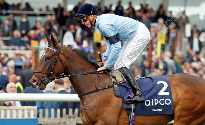 Cachet-0003 
 CACHET (James Doyle) winner of The Qipco 1000 Guineas
Newmarket 1 May 2022 - Pic Steven Cargill / Racingfotos.com