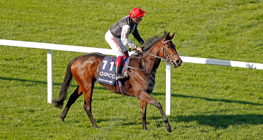 Star-Catcher-0006 
 STAR CATCHER (Frankie Dettori) after The Qipco British Champions Fillies & Mares Stakes
Ascot 19 Oct 2019 - Pic Steven Cargill / Racingfotos.com