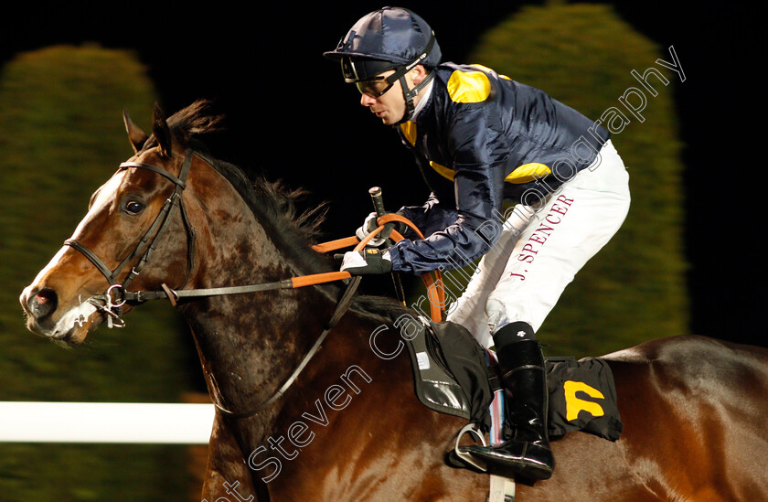 Highbrow-0006 
 HIGHBROW (Jamie Spencer) wins The Matchbook VIP Novice Stakes Div2 Kempton 13 Dec 2017 - Pic Steven Cargill / Racingfotos.com