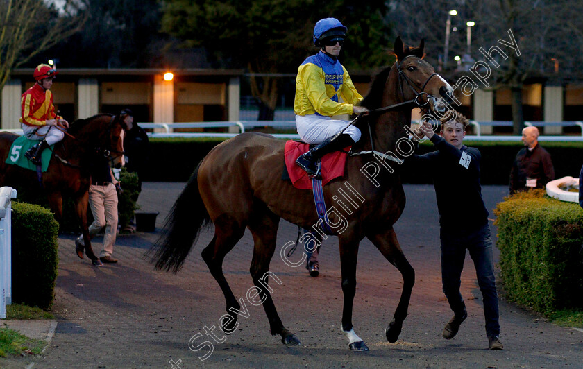 Ripplet-0001 
 RIPPLET (Charlie Bennett)
Kempton 23 Mar 2019 - Pic Steven Cargill / Racingfotos.com