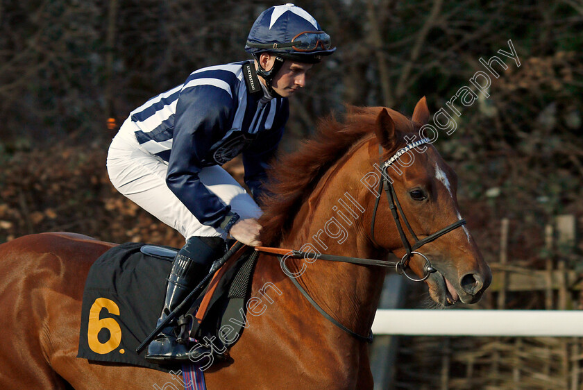 Win-O Clock-0001 
 WIN O'CLOCK (Adam McNamara)
Kempton 29 Jan 2020 - Pic Steven Cargill / Racingfotos.com