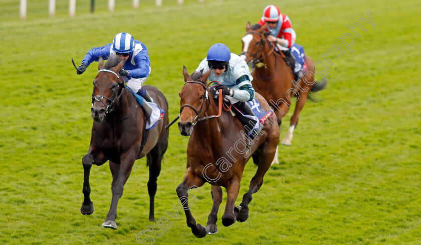 Quickthorn-0004 
 QUICKTHORN (right, Jason Hart) beats ISRAR (left) in The Sky Bet Grand Cup
York 17 Jun 2023 - Pic Steven Cargill / Racingfotos.com