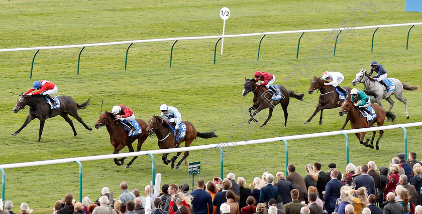 Mot-Juste-0001 
 MOT JUSTE (2nd left, William Buick) beats ANGEL'S HIDEAWAY (left) and SUNDAY STAR (3rd left) with FROSTY (grey) well beaten in The Godolphin Lifetime Care Oh So Sharp Stakes
Newmarket 12 Oct 2018 - Pic Steven Cargill / Racingfotos.com