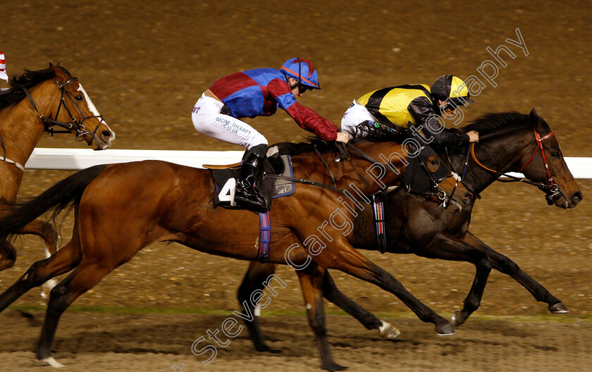 Breaking-Records-0008 
 BREAKING RECORDS (4, Ray Dawson) beats HUMAN NATURE (right) in The £20 Free Bets At totesport.com Apprentice Handicap
Chelmsford 29 Nov 2018 - Pic Steven Cargill / Racingfotos.com