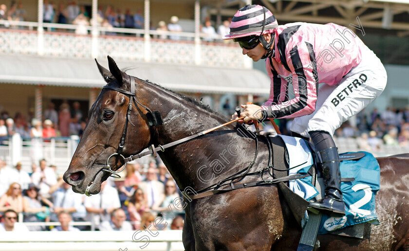 Chichester-0001 
 CHICHESTER (Richard Kingscote) wins The Seat Unique Ganton Stakes
York 16 Jun 2023 - Pic Steven Cargill / Racingfotos.com