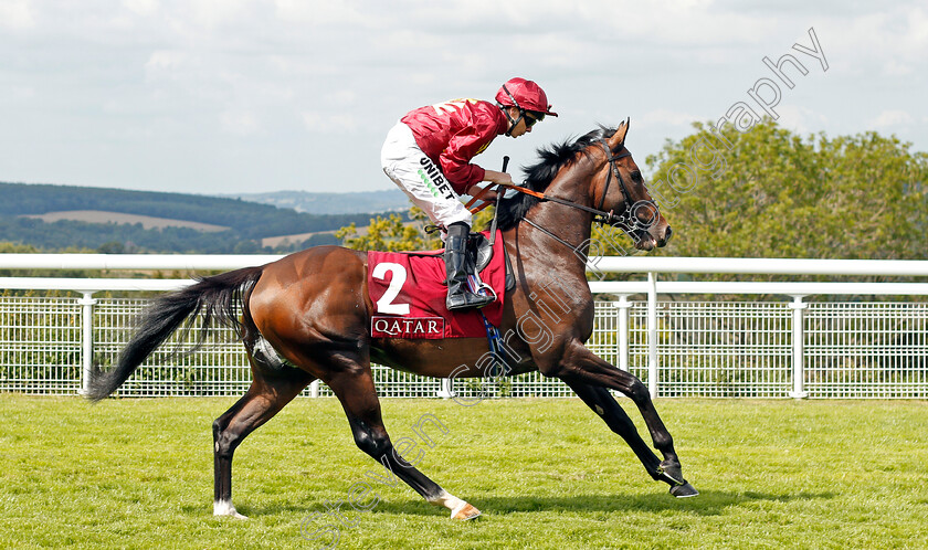 Spanish-Mission-0001 
 SPANISH MISSION (Jamie Spencer)
Goodwood 1 Aug 2019 - Pic Steven Cargill / Racingfotos.com